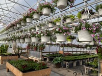 Greenhouse